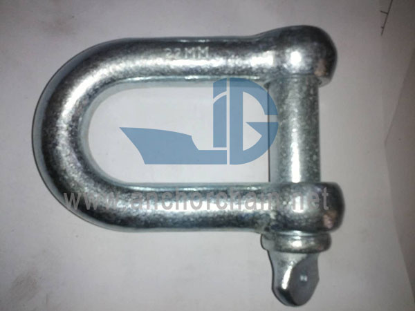 Europako motako Dee Shackle